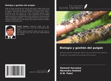 Capa do livro de Biología y gestión del pulgón 