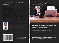 Buchcover von Asistencia jurídica gratuita en Derecho congoleño: