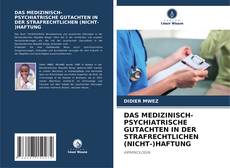 DAS MEDIZINISCH-PSYCHIATRISCHE GUTACHTEN IN DER STRAFRECHTLICHEN (NICHT-)HAFTUNG的封面