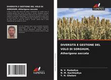 Bookcover of DIVERSITÀ E GESTIONE DEL VOLO DI SORGHUM, Atherigona soccata