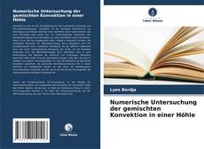 Bookcover of Numerische Untersuchung der gemischten Konvektion in einer Höhle