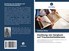 Züchtung von Sorghum auf Trockenheitstoleranz kitap kapağı