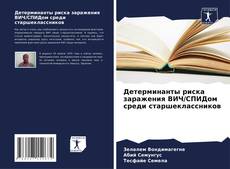 Bookcover of Детерминанты риска заражения ВИЧ/СПИДом среди старшеклассников