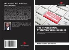 The Personal Data Protection Correspondent kitap kapağı