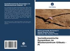 Buchcover von Sozioökonomische Dynamiken im Wüstenzentrum Gilbués - PI