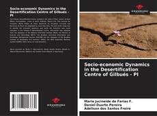 Copertina di Socio-economic Dynamics in the Desertification Centre of Gilbués - PI
