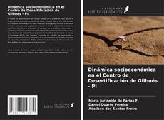 Portada del libro de Dinámica socioeconómica en el Centro de Desertificación de Gilbués - PI