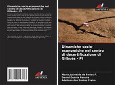Buchcover von Dinamiche socio-economiche nel centro di desertificazione di Gilbués - PI