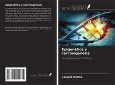 Epigenética y carcinogénesis kitap kapağı
