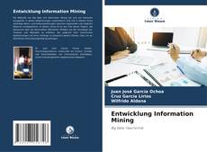 Entwicklung Information Mining kitap kapağı