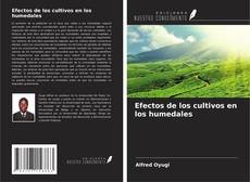 Bookcover of Efectos de los cultivos en los humedales