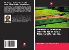 Bookcover of Modelação do teor de clorofila foliar numa floresta heterogénea