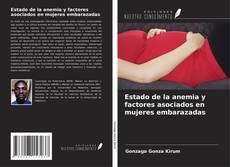 Estado de la anemia y factores asociados en mujeres embarazadas kitap kapağı