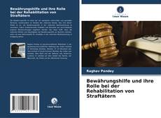 Bewährungshilfe und ihre Rolle bei der Rehabilitation von Straftätern kitap kapağı