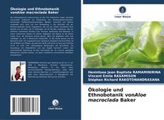 Portada del libro de Ökologie und Ethnobotanik vonAloe macroclada Baker