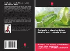 Buchcover von Ecologia e etnobotânica deAloe macroclada Baker