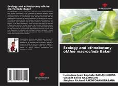 Couverture de Ecology and ethnobotany ofAloe macroclada Baker