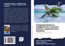 Portada del libro de Гидродинамика и морфология пляжей с низким содержанием осадков
