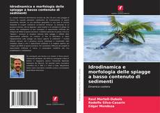 Bookcover of Idrodinamica e morfologia delle spiagge a basso contenuto di sedimenti