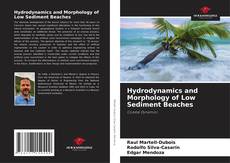 Capa do livro de Hydrodynamics and Morphology of Low Sediment Beaches 