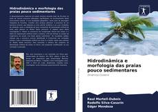 Buchcover von Hidrodinâmica e morfologia das praias pouco sedimentares