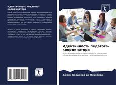 Capa do livro de Идентичность педагога-координатора 
