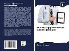 Buchcover von Оценка эффективности идентификации
