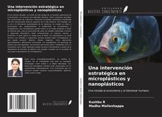 Una intervención estratégica en microplásticos y nanoplásticos kitap kapağı