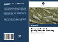 Europäische und portugiesische Normung kitap kapağı