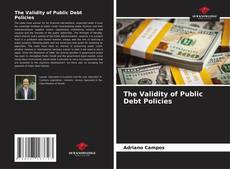 Buchcover von The Validity of Public Debt Policies