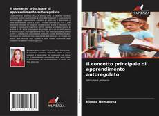 Il concetto principale di apprendimento autoregolato的封面