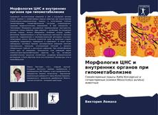 Buchcover von Морфология ЦНС и внутренних органов при гипометаболизме