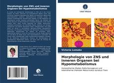 Buchcover von Morphologie von ZNS und inneren Organen bei Hypometabolismus