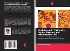 Couverture de Morfologia do SNC e dos órgãos internos em hipometabolismo