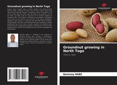 Capa do livro de Groundnut growing in North Togo 