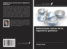 Buchcover von Aplicaciones únicas de la ingeniería geofísica