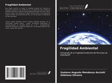 Bookcover of Fragilidad Ambiental