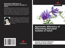 Capa do livro de Agronomic Efficiency of Nodulating Rhizobial Isolates in Vetch 
