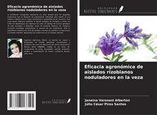 Buchcover von Eficacia agronómica de aislados rizobianos noduladores en la veza