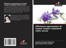 Capa do livro de Efficienza agronomica di isolati rizobici nodulanti nella veccia 