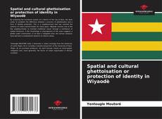 Couverture de Spatial and cultural ghettoisation or protection of identity in Wiyaodè