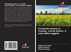 Copertina di Frumento tenero in Tunisia, vincoli biotici, il caso della ruggine