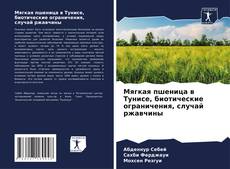 Bookcover of Мягкая пшеница в Тунисе, биотические ограничения, случай ржавчины