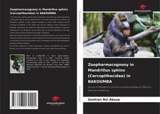 Buchcover von Zoopharmacognosy in Mandrillus sphinx (Cercopithecidae) in BAKOUMBA