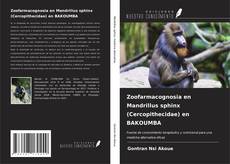 Buchcover von Zoofarmacognosia en Mandrillus sphinx (Cercopithecidae) en BAKOUMBA
