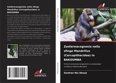 Copertina di Zoofarmacognosia nella sfinge Mandrillus (Cercopithecidae) in BAKOUMBA