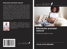 Borítókép a  Educación prenatal natural - hoz