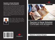 Buchcover von Tourism in Kasai Oriental: Challenges and prospects