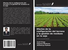 Buchcover von Efectos de la configuración del terreno y la gestión de residuos en la soja