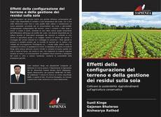 Copertina di Effetti della configurazione del terreno e della gestione dei residui sulla soia